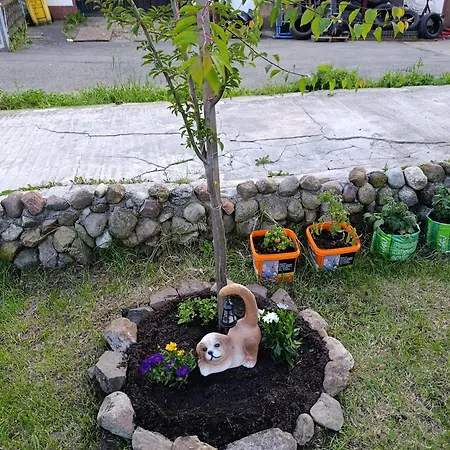 Casa de hóspedes Valentina 3*